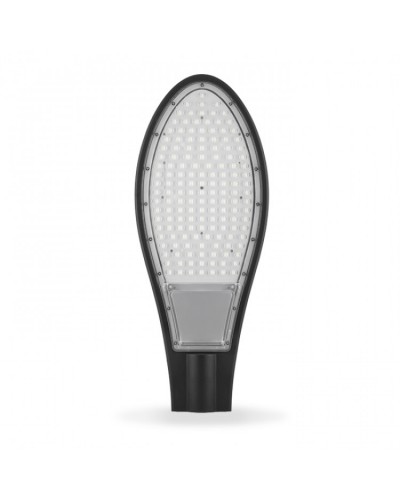 Консольный уличный светильник Feron SP2925 30Вт 6400К IP65 серый (32217)