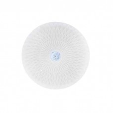 Светодиодный потолочный светильник RADIUS-36 (027-012-0036-010)