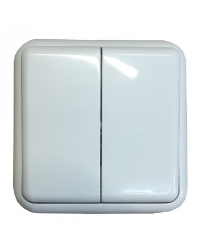 Выключатель наружной установки 2-кл. белый IP20 TNSy Lemur TNSy (TNSy5000979)