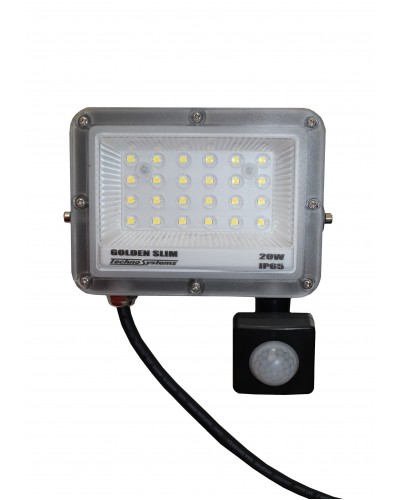 Прожектор LED 20W GOLDEN Slim 220V 2200Lm 6500K IP65 + ДР TNSy (TNSy5001153)