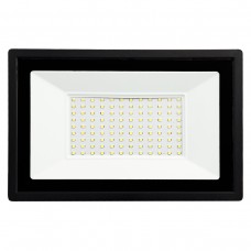 Світлодіодний прожектор AREAL 100W PR-100 6200К 220V IP65 (00-00022312)