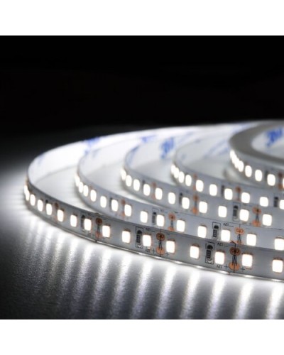 LED лента BIOM Professional белая, негерметичная (00-00014499) LED лента BIOM Professional белая, негерметичная (00-00014499)