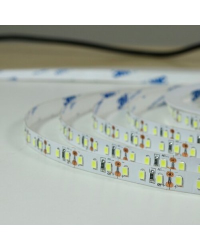 LED лента BIOM Professional белая, негерметичная (00-00014499) LED лента BIOM Professional белая, негерметичная (00-00014499)