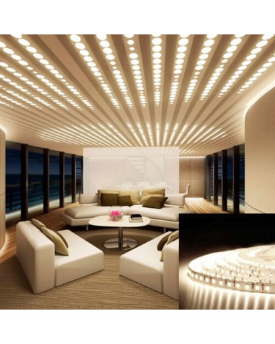 LED лента BIOM Professional нейтральная белая негерметичная (00-00014500) LED лента BIOM Professional нейтральная белая негерметичная (00-00014500)