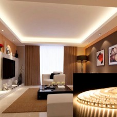 LED лента BIOM Professional тепло белая, негерметична 1м (00-00014501)