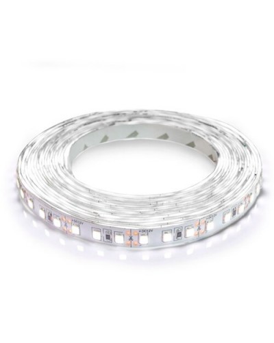 Светодиодная лента OEM ST-12-2835-120-CW-20-V2 915 Lm/m белая, негерметичная (00-00014478)