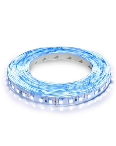 Светодиодная лента OEM ST-12-2835-120-B-20 синяя, негерметичная, 1м (00-00014484)