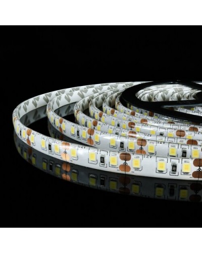 Светодиодная лента OEM ST-12-2835-120-CW-65 белая, герметична, 1м (00-00014485) Светодиодная лента OEM ST-12-2835-120-CW-65 белая, герметична, 1м (00-00014485)